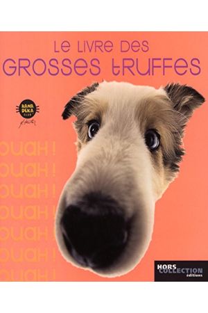 46198
