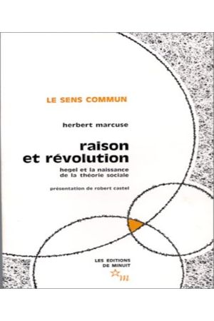 84446